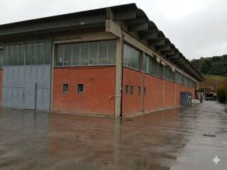 Zona