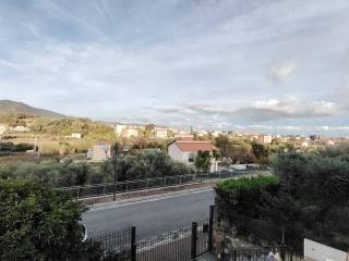 Vista