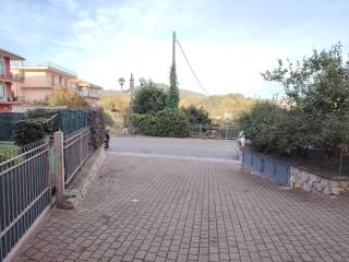 Zona