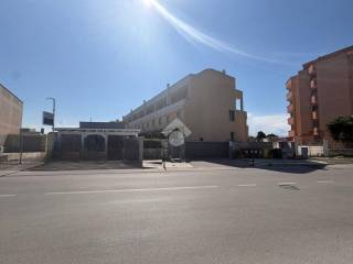 Zona