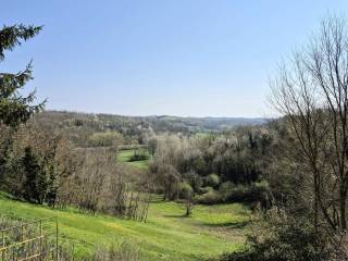 Vista