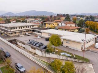 Vista