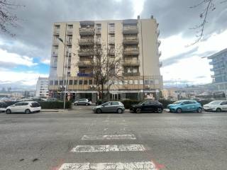 Zona