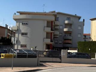 Zona