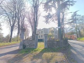 Zona