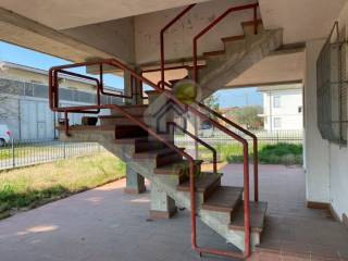 Scala