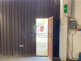 Ingresso