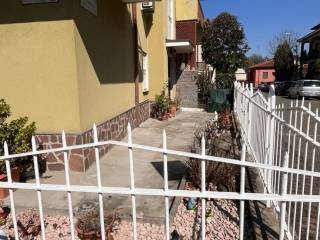 Zona