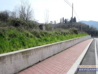 Zona