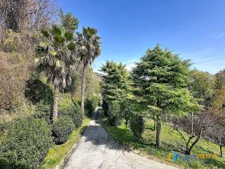 Vista