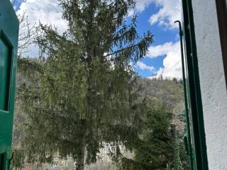 Vista