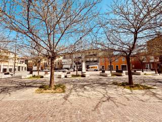 Zona