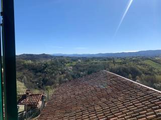 Vista