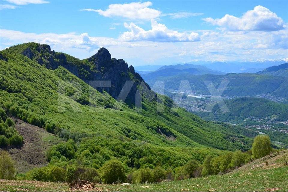 Vista