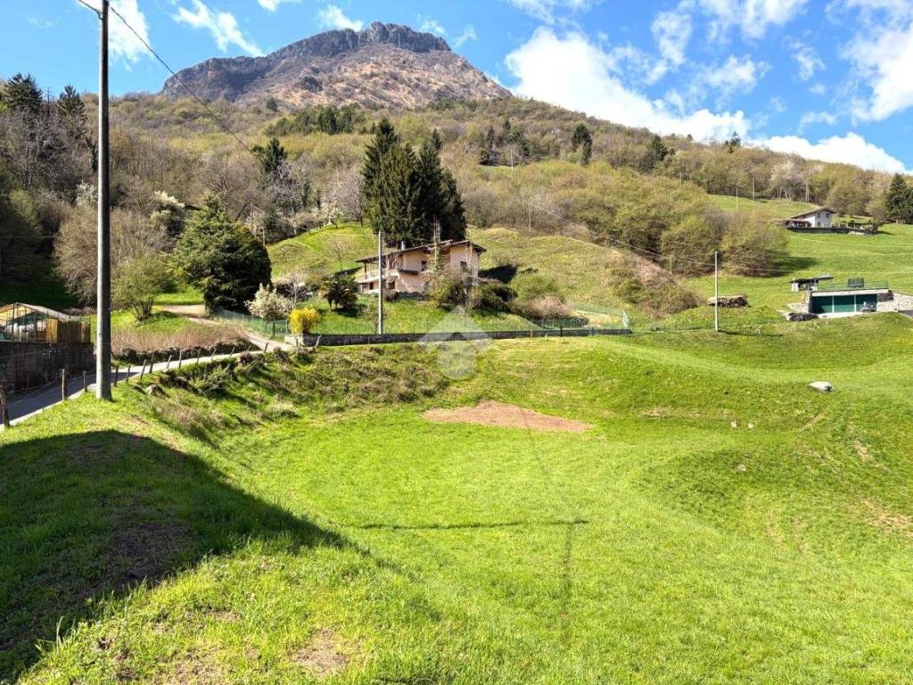 Terreno