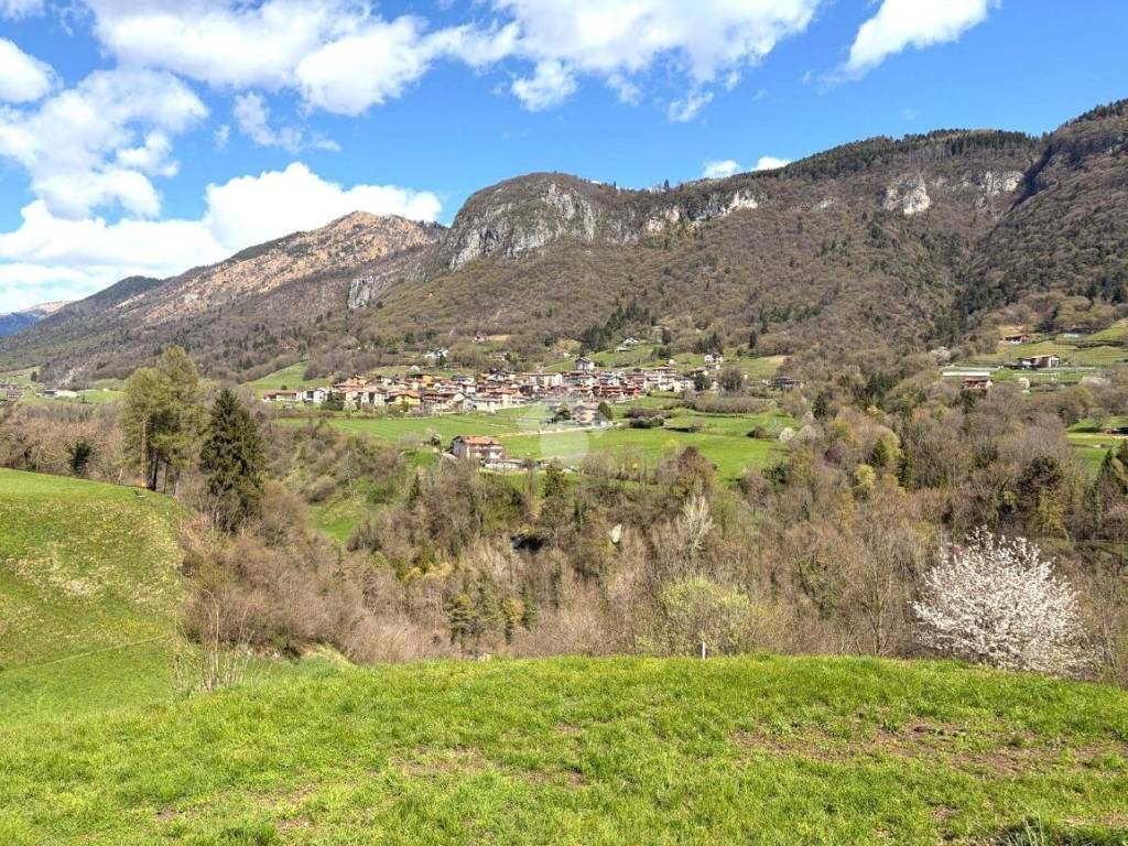 Vista