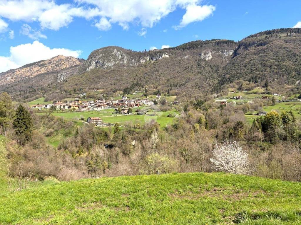 Vista