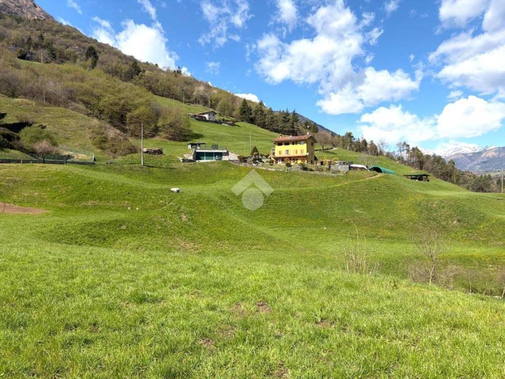 Terreno