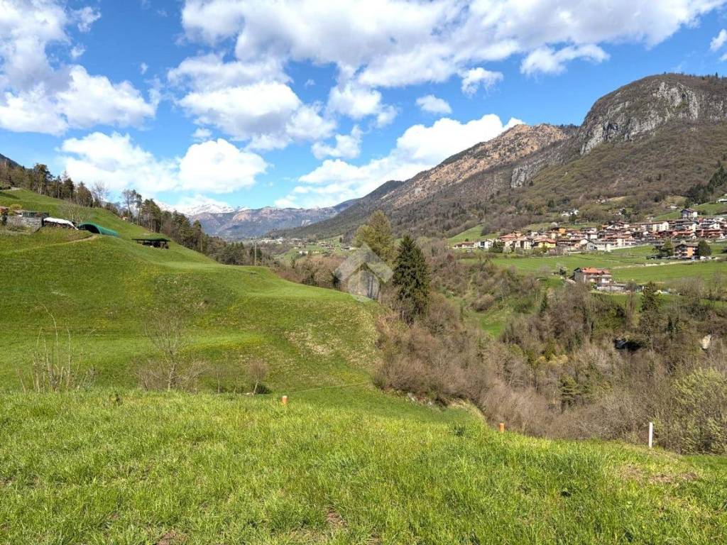 Vista