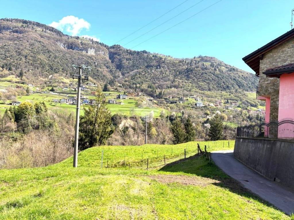Vista