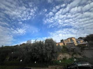 Vista