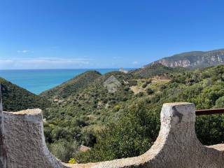 Vista