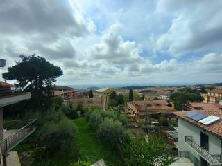 Vista
