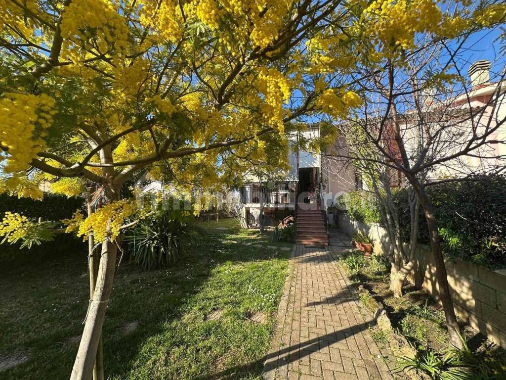 Giardino