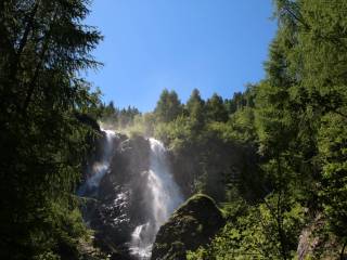 Vista