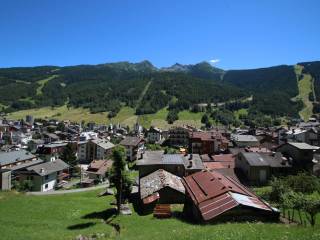 Vista