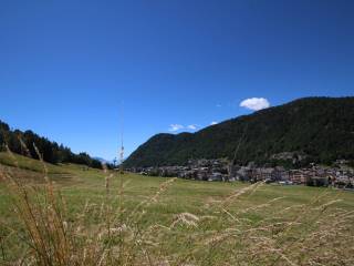 Vista