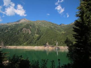 Vista