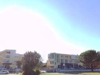 Zona