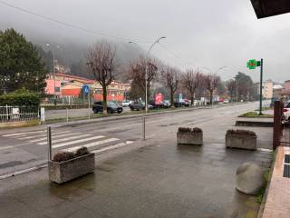Zona