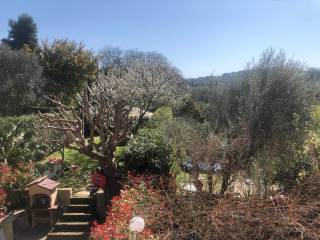 Vista