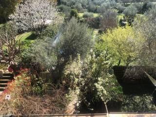 Vista