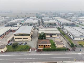 Vista