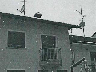 Zona