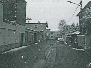 Zona