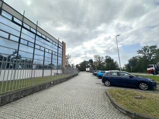 Vista