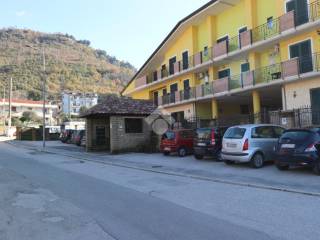 Zona