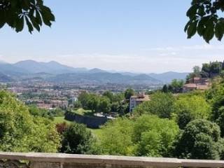 Vista