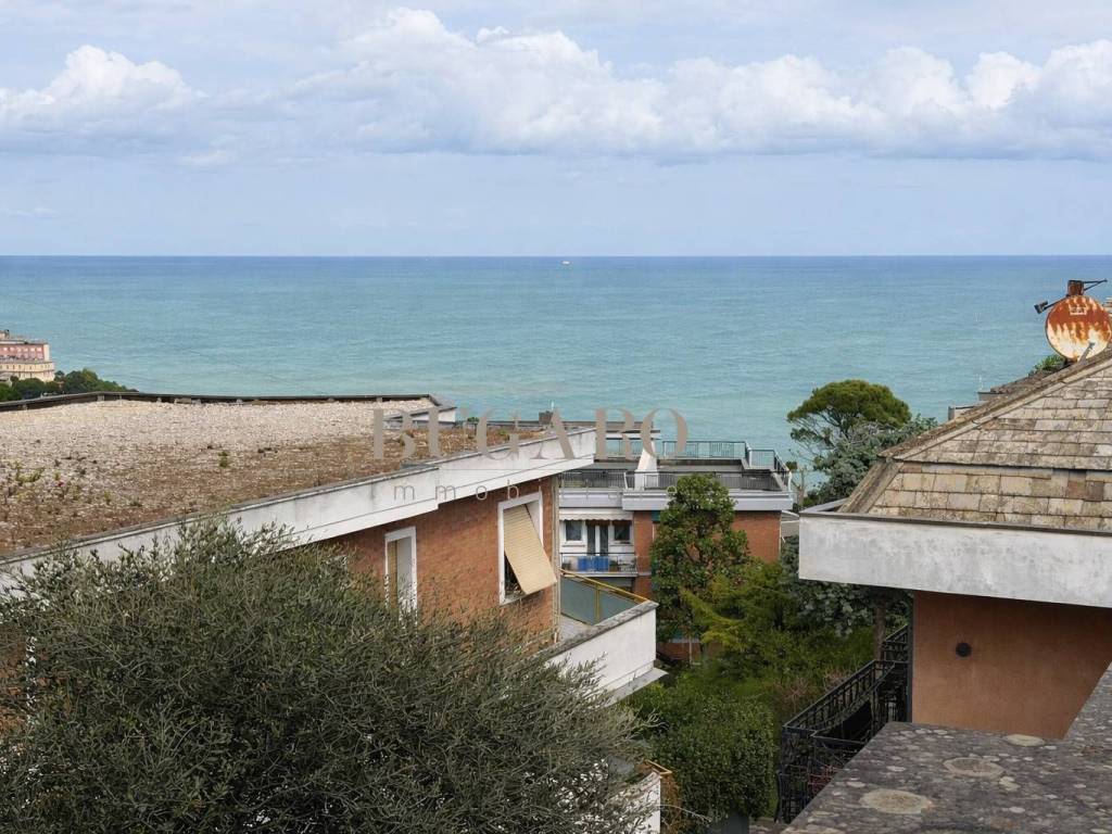 Vista