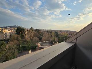 Vista