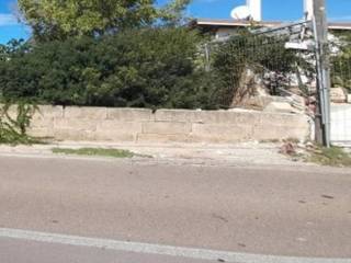 Zona
