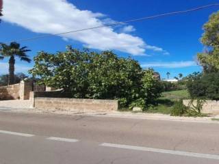 Zona