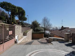 Zona