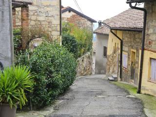 Zona