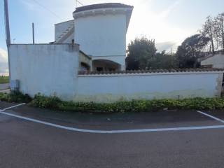 Zona