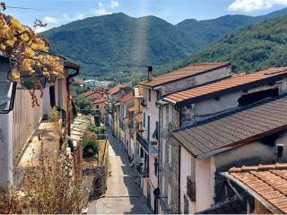 Vista